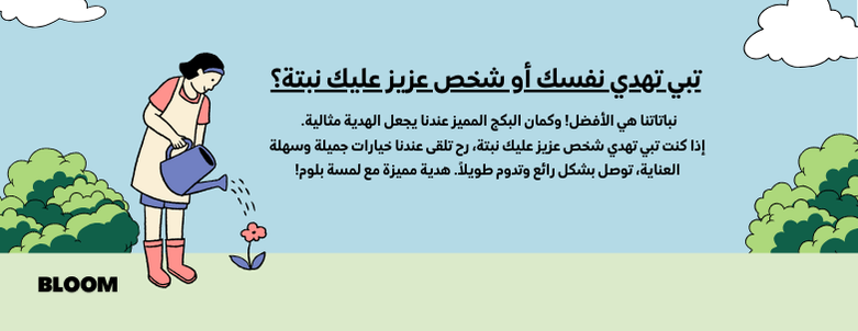 بــلـوم BLOOM image-slider-2
