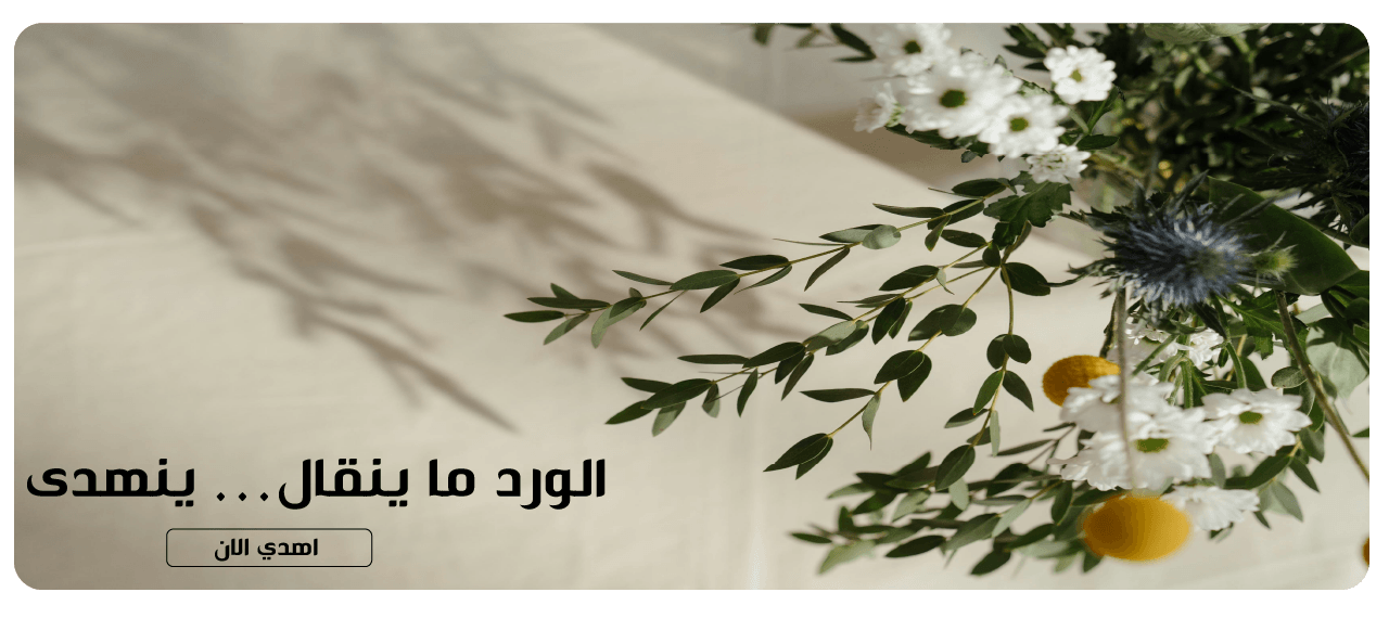 Softie image-slider-0