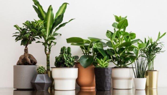 هدايا و توزيعات