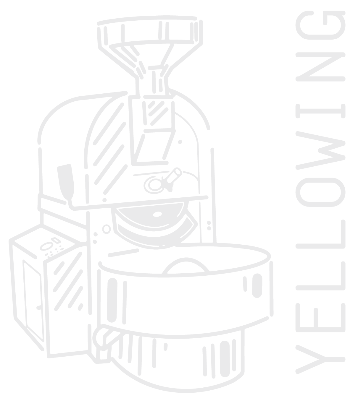 FROM EARLY YELLOW TO FIRST CRACK