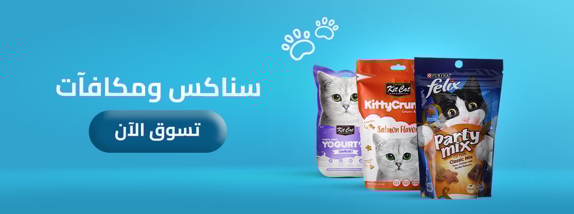 CATS | Snacks and rewards