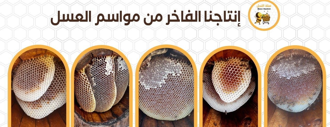 مناحل وادي العرض - سلة النحل image-slider-1