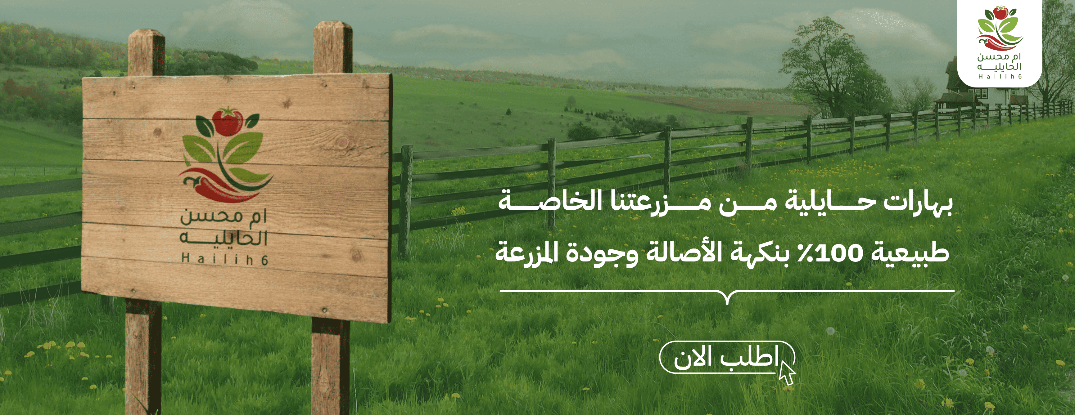 ام محسن الحايلية image-slider-0