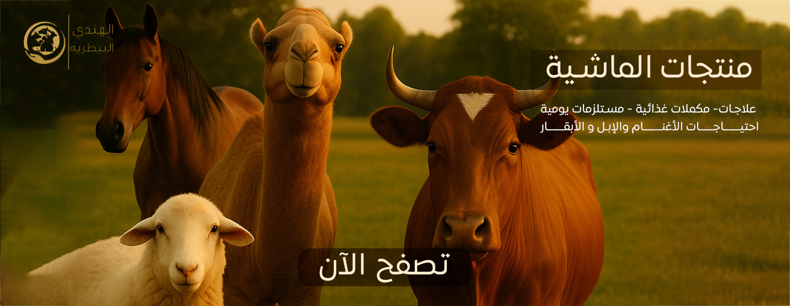 fixed banner