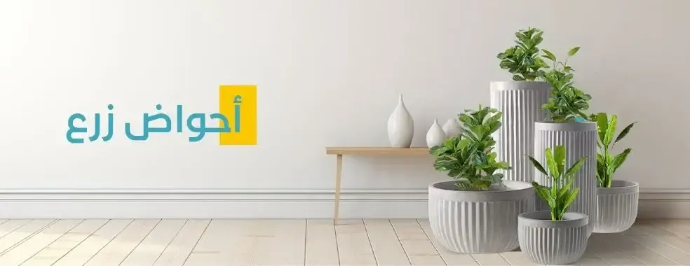 in & out image-slider-0