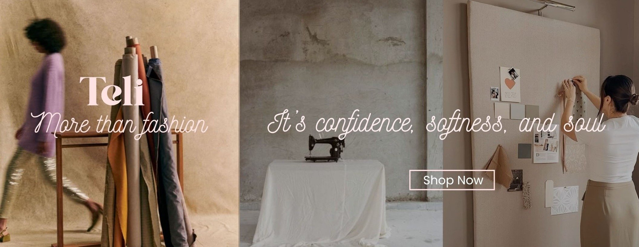 Teli Store image-slider-2