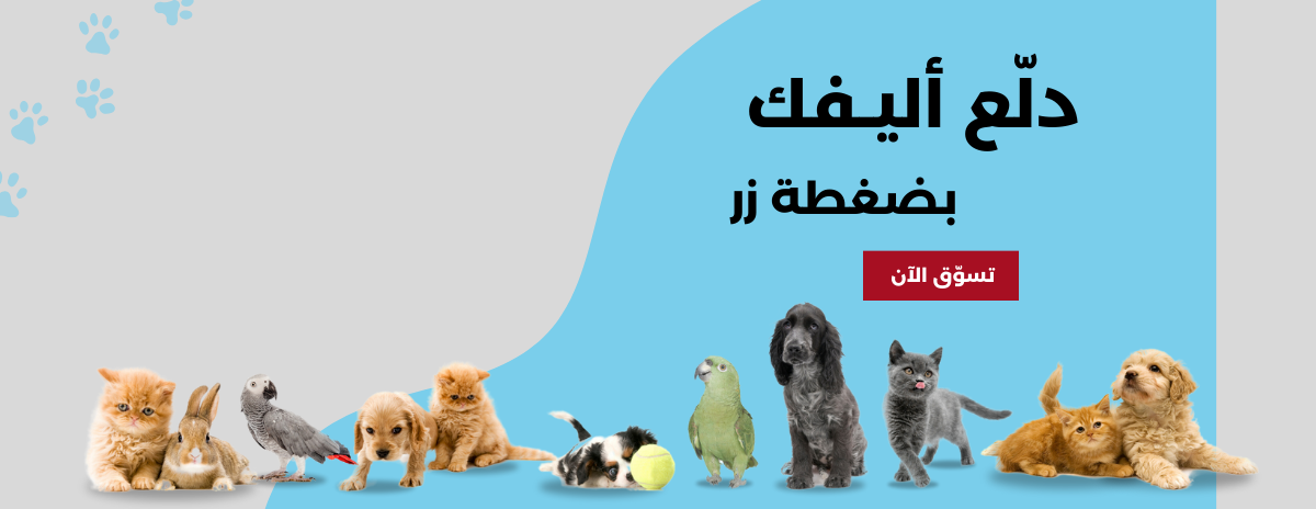 متجر ابو طلال image-slider-0