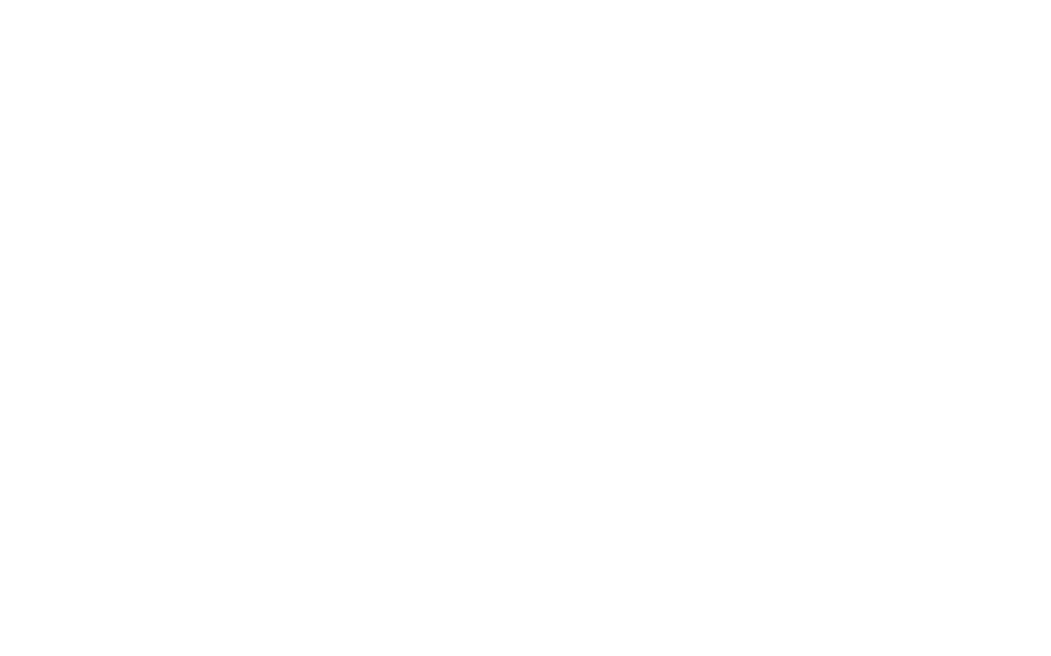 wishstore logo