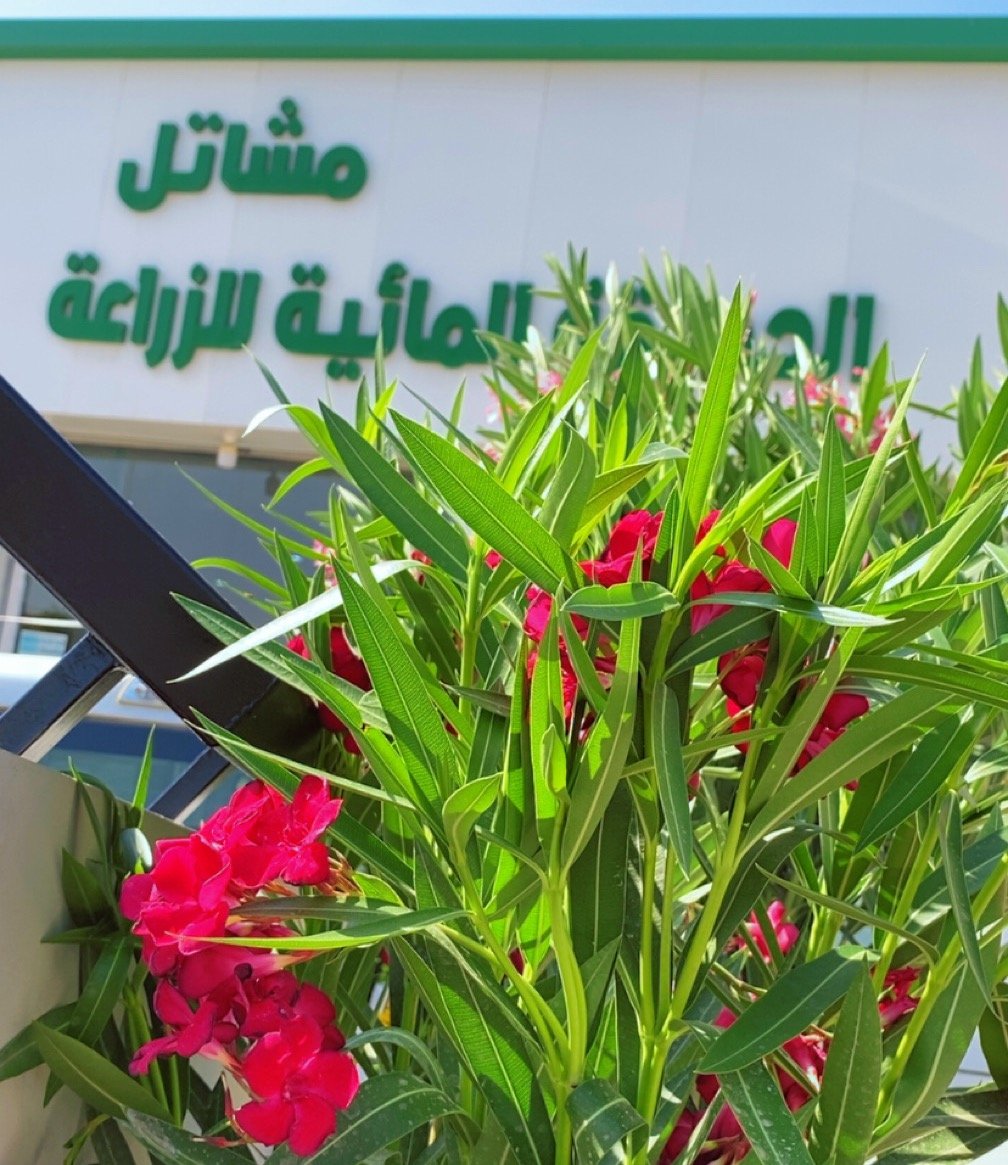 موسسه مشاتل الحديقة المائية