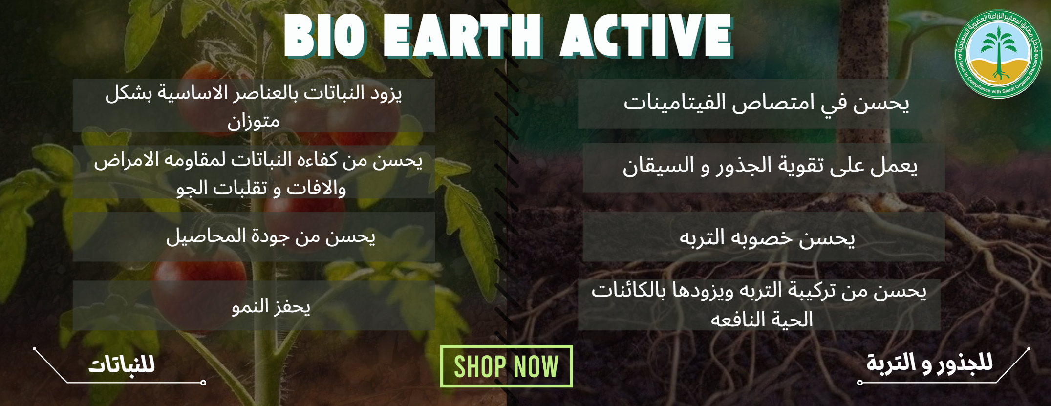 مؤسسة علي العيادة للتجارة image-slider-0