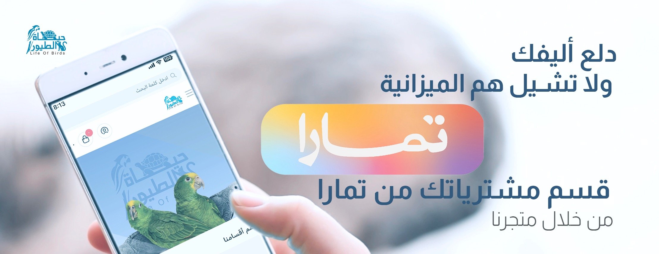 حياة الطيور image-slider-0