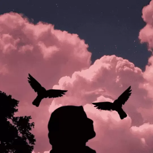 رونق الاحساس