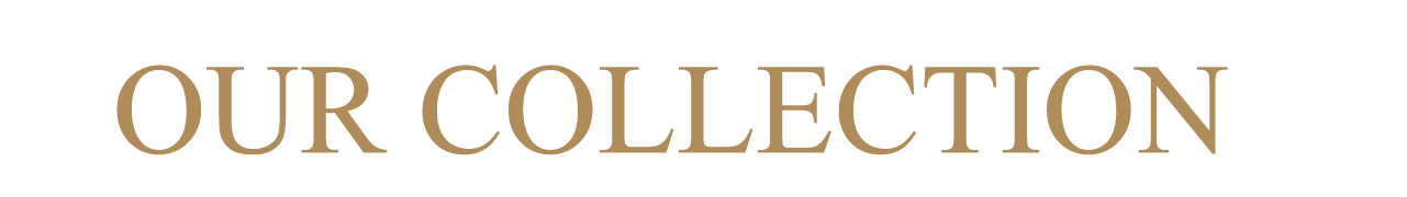 FASHION PLUS image-slider-0