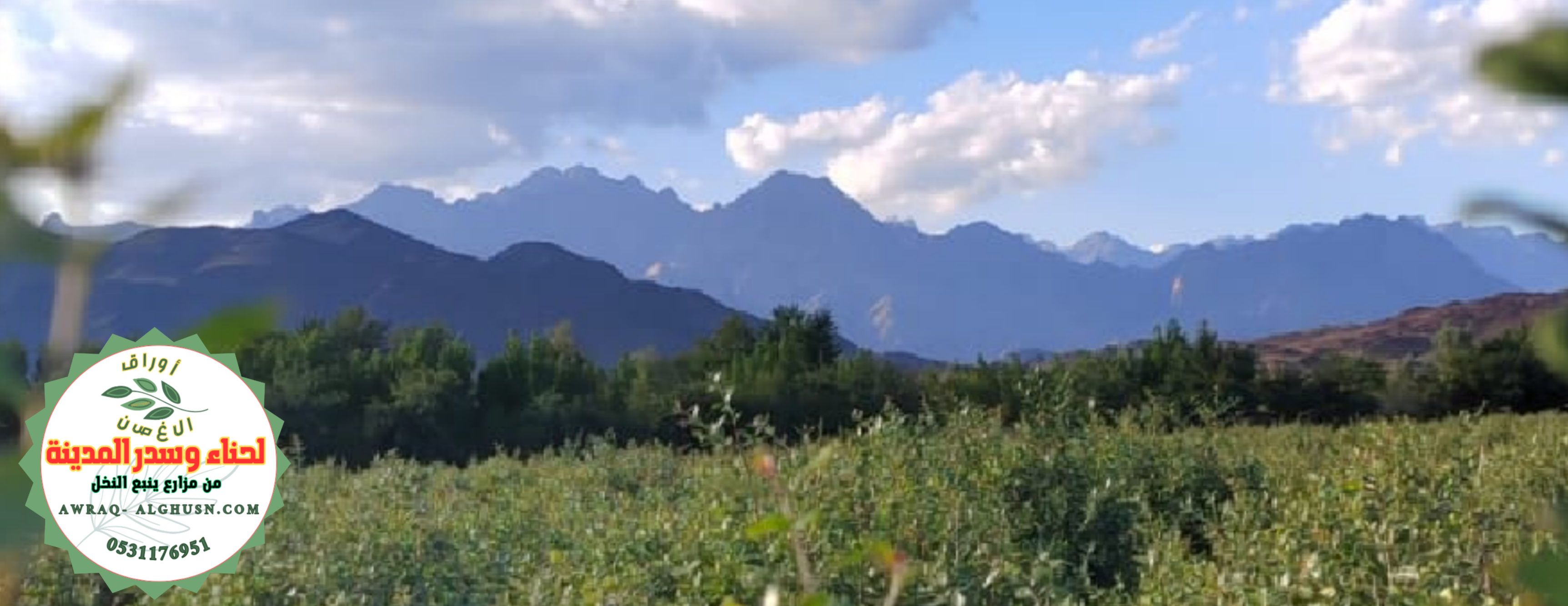 أوراق الغصن 🌿🌿 لحناء وسدر المدينة image-slider-0
