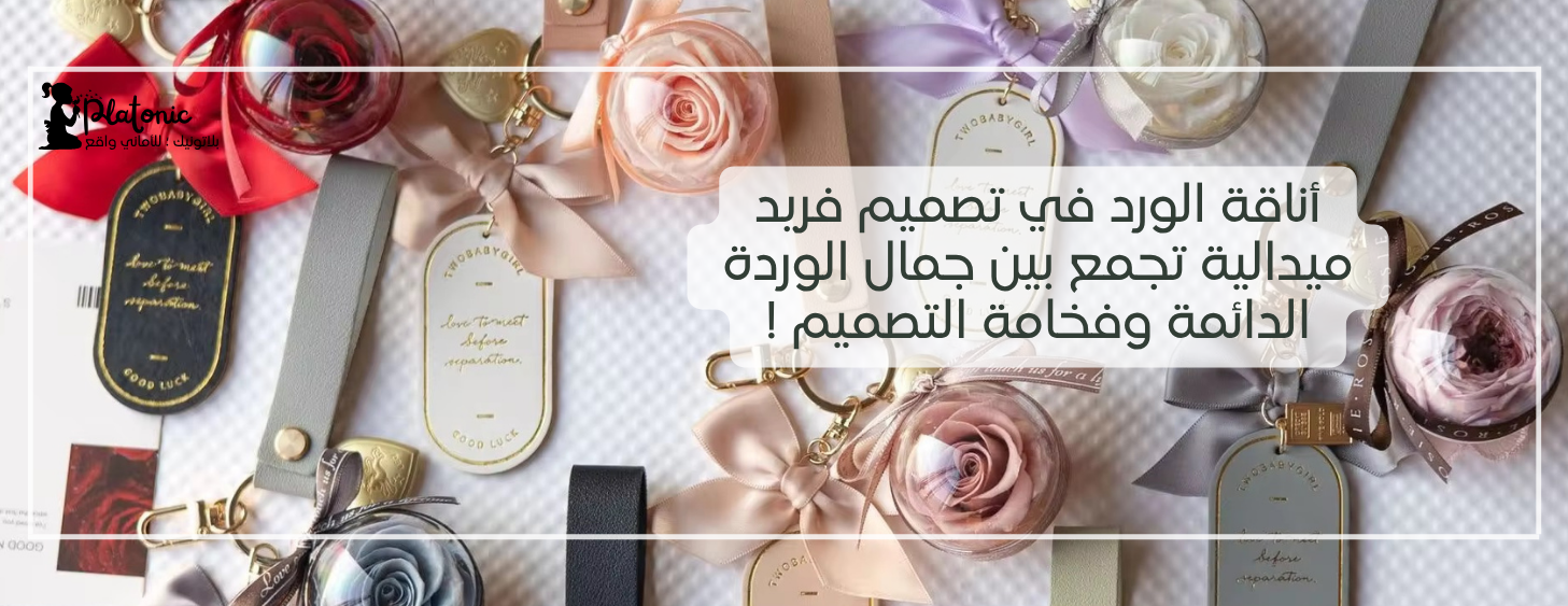 PLATONIC image-slider-2