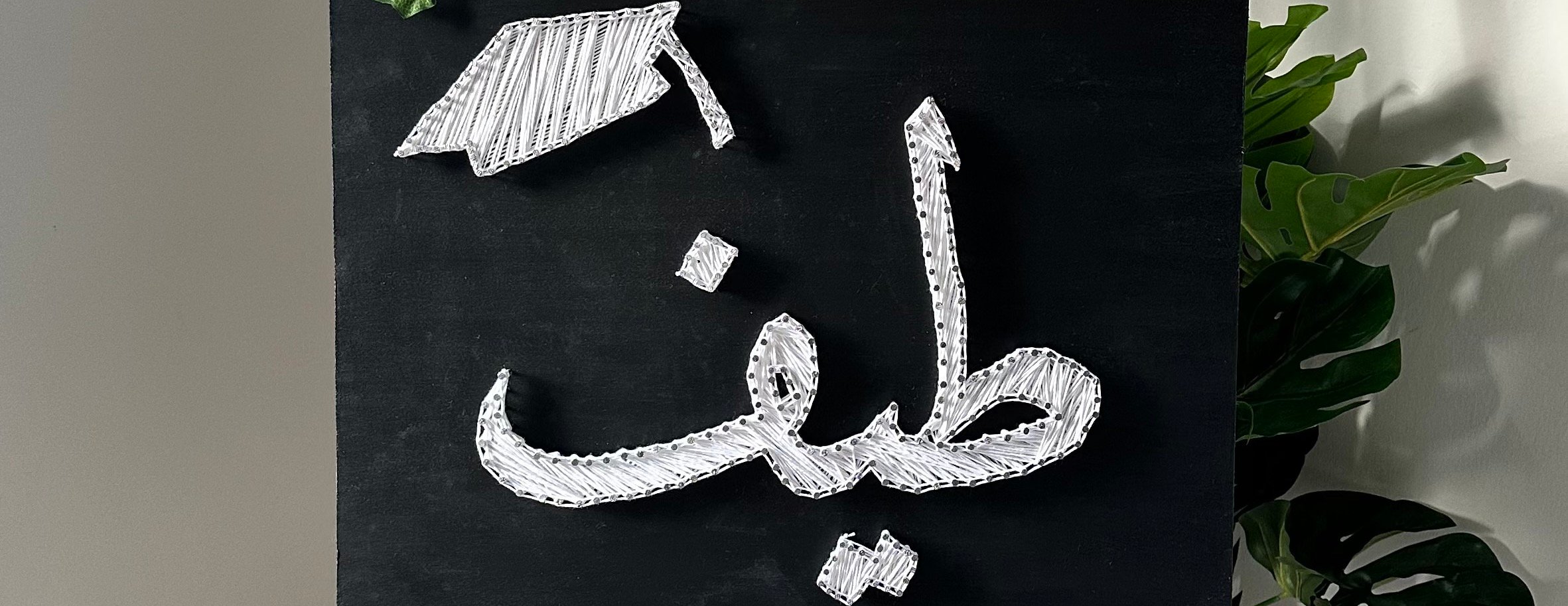 AsciaStore image-slider-3
