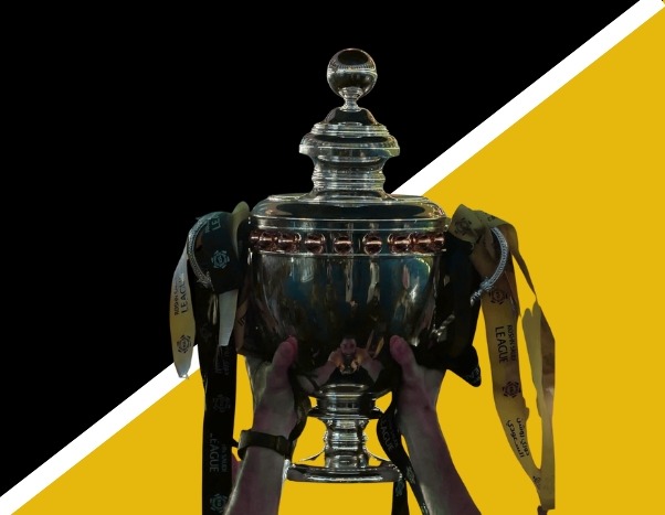 كأس الدوري السعودي