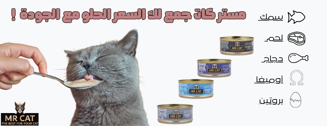 Yazeed zoo image-slider-1