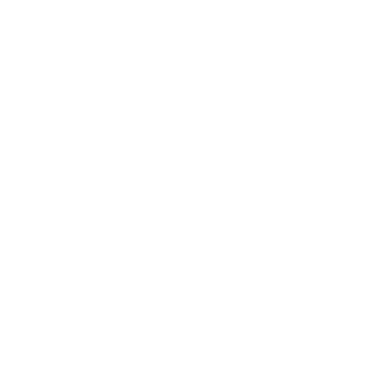 B|T jewelry Logo