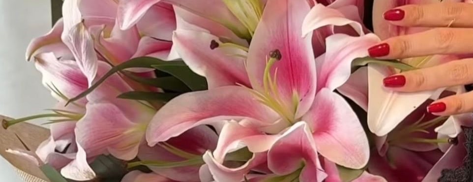 زهرة لوريت image-slider-0