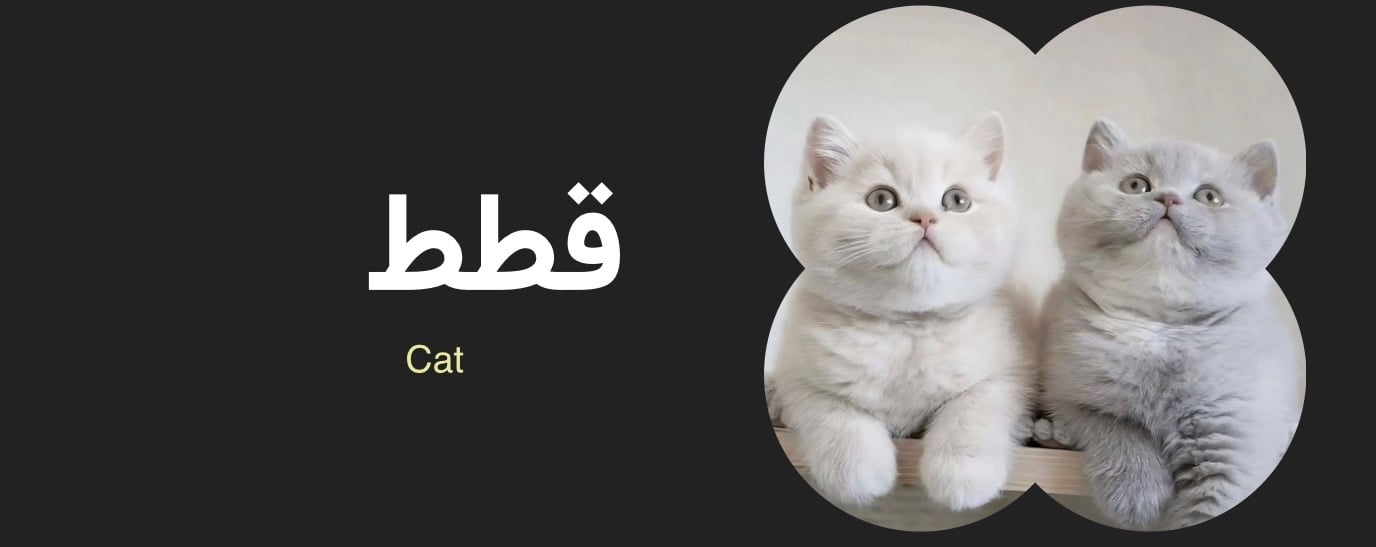 fixed banner