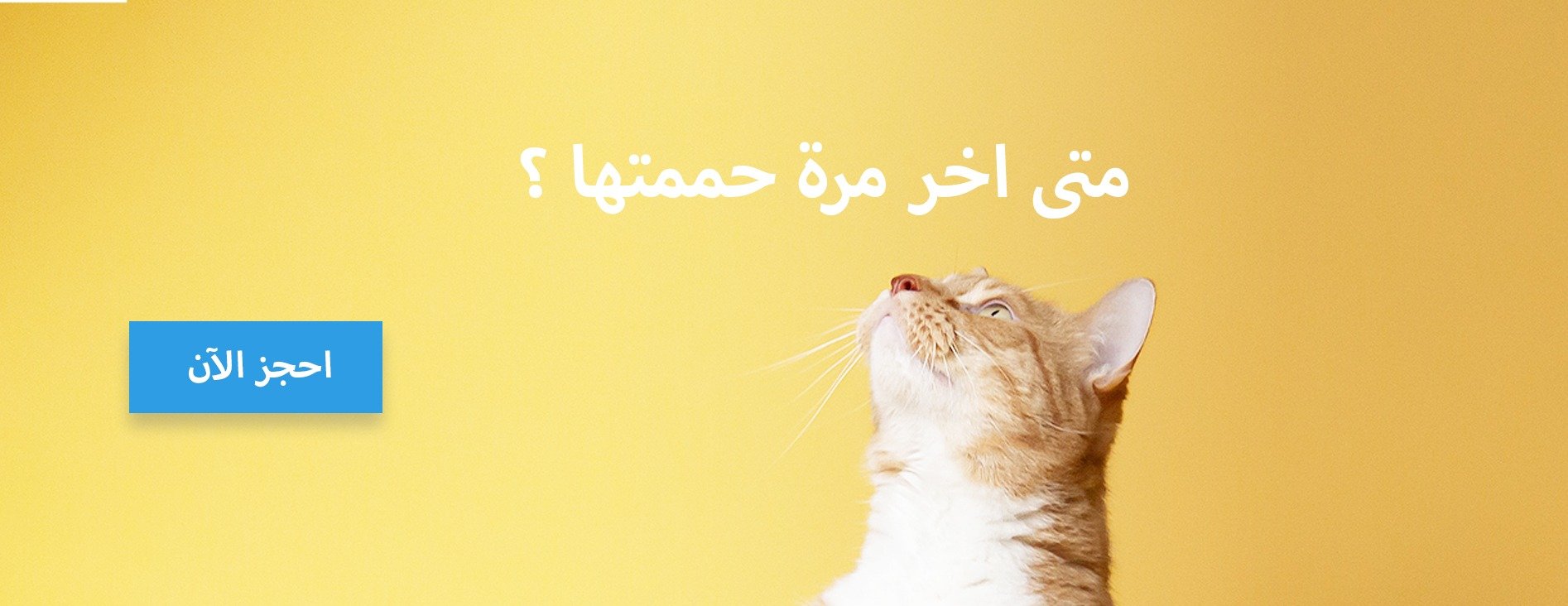حياة الطيور image-slider-0