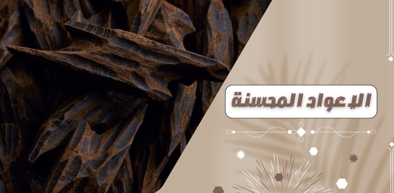 Banner  | روعة العود