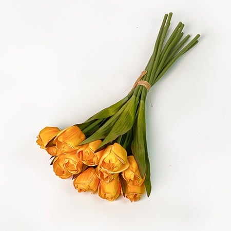 توليب و كالا