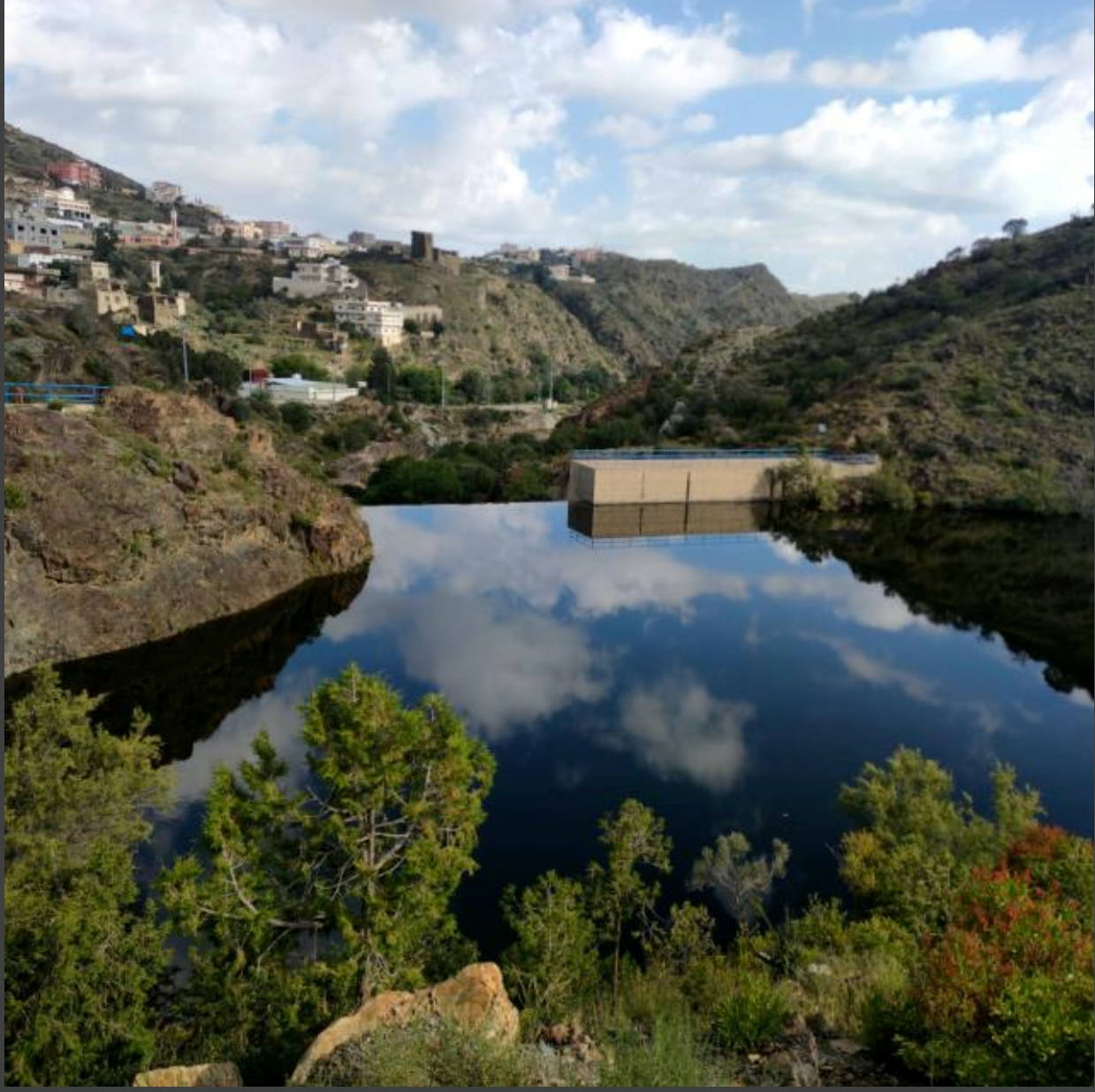 أحمد أسامة قنطار