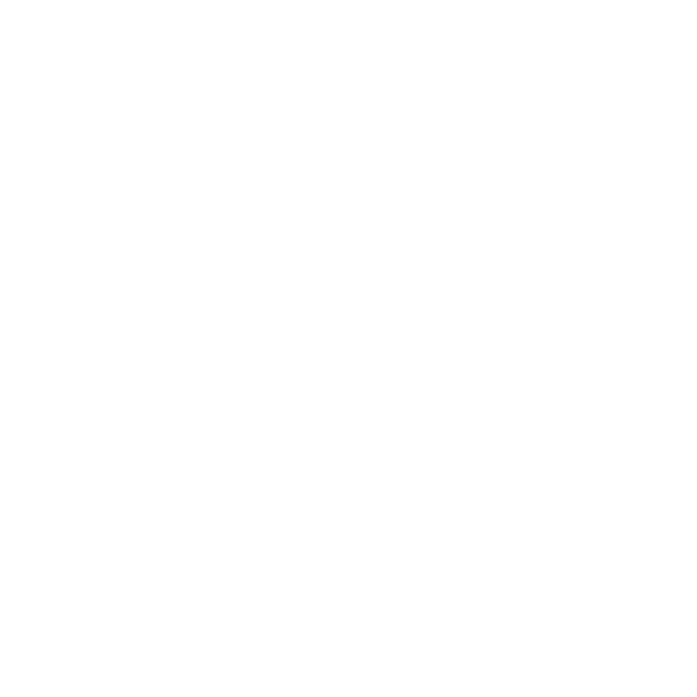 اصــــلـي