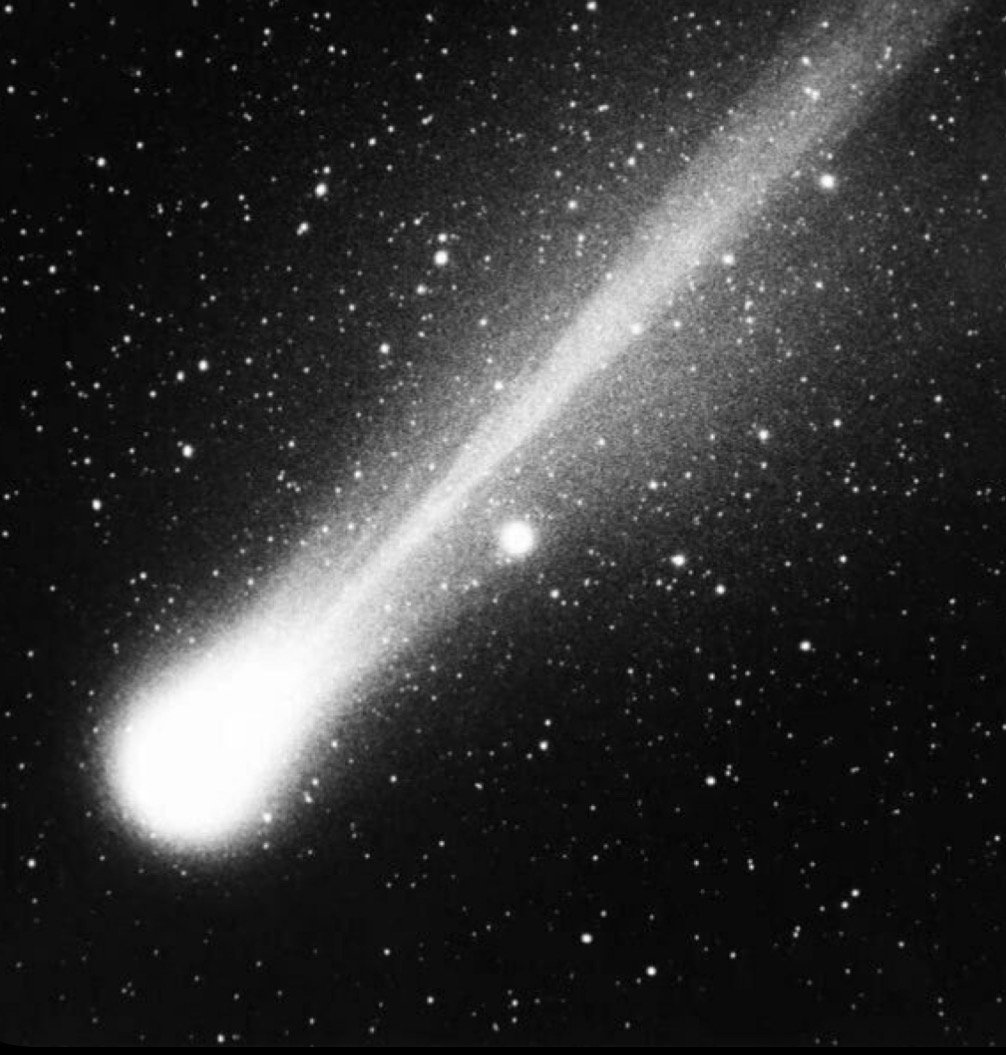 ندى الحسيني