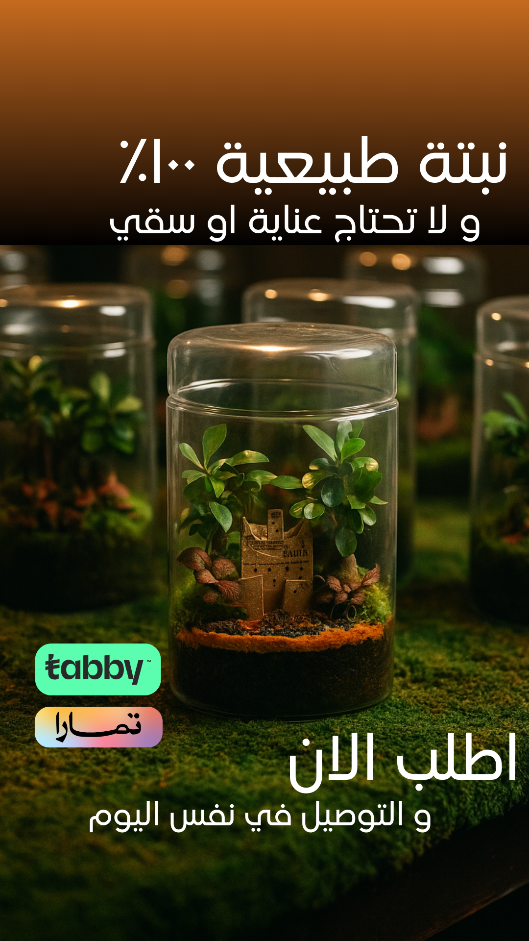 بيانكا جاردن