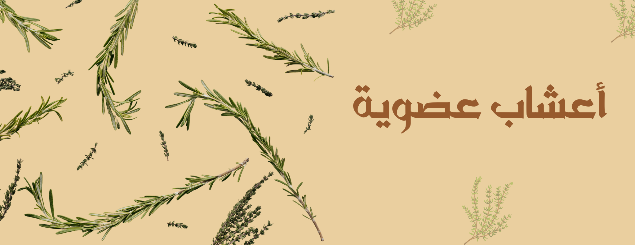 fixed banner