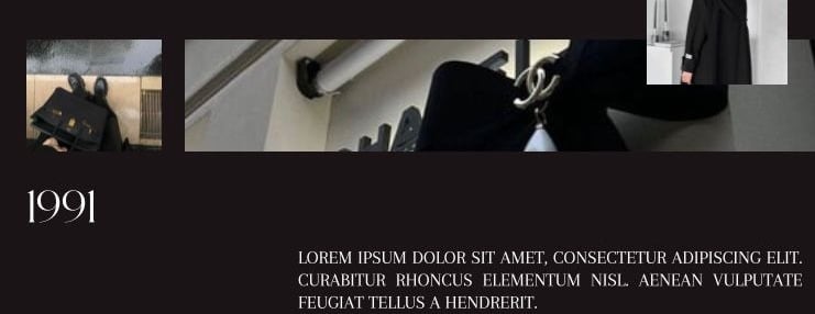 1991 image-slider-2