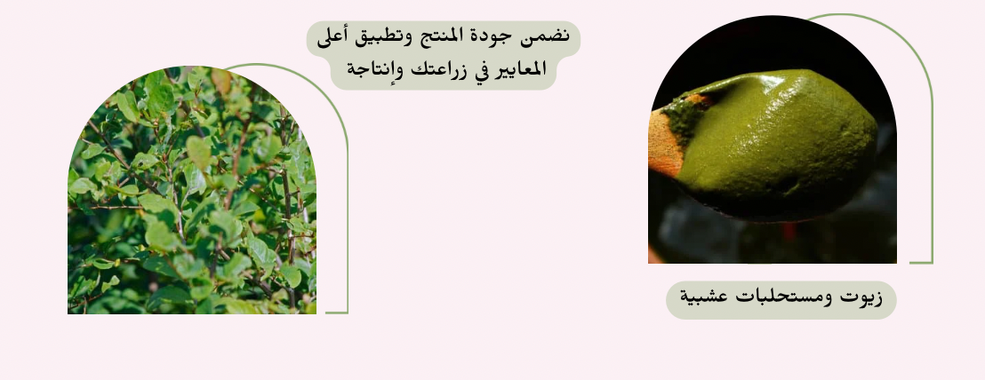 SENSE image-slider-1