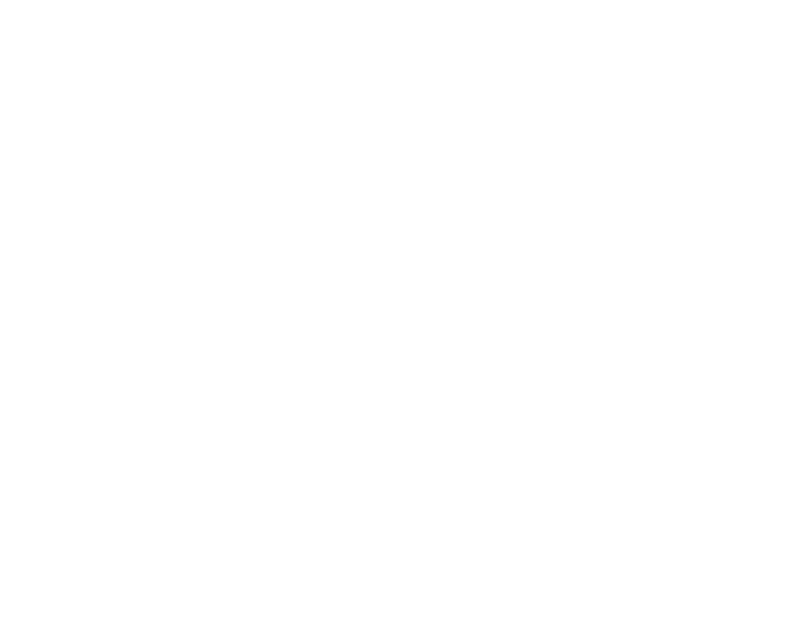 سنمار Sanmar logo