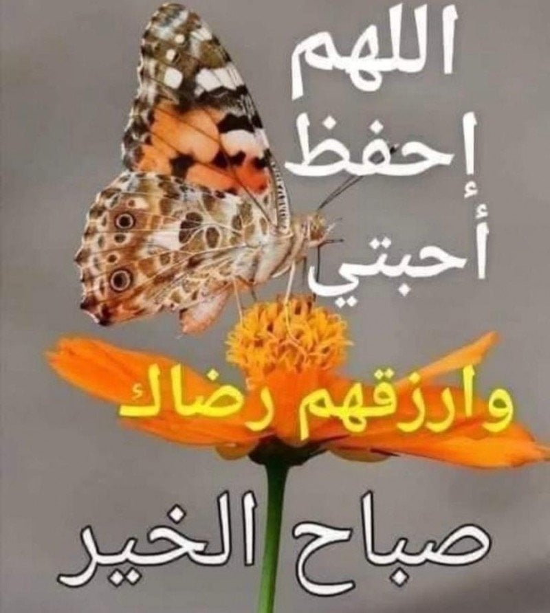 فجر الحارثي