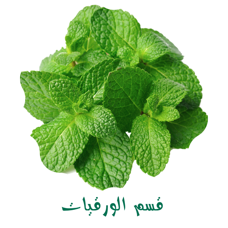 قسم الورقيات