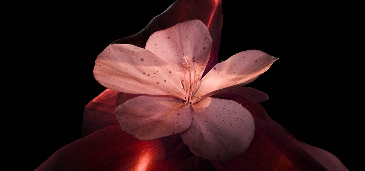 عتيد image-slider-2
