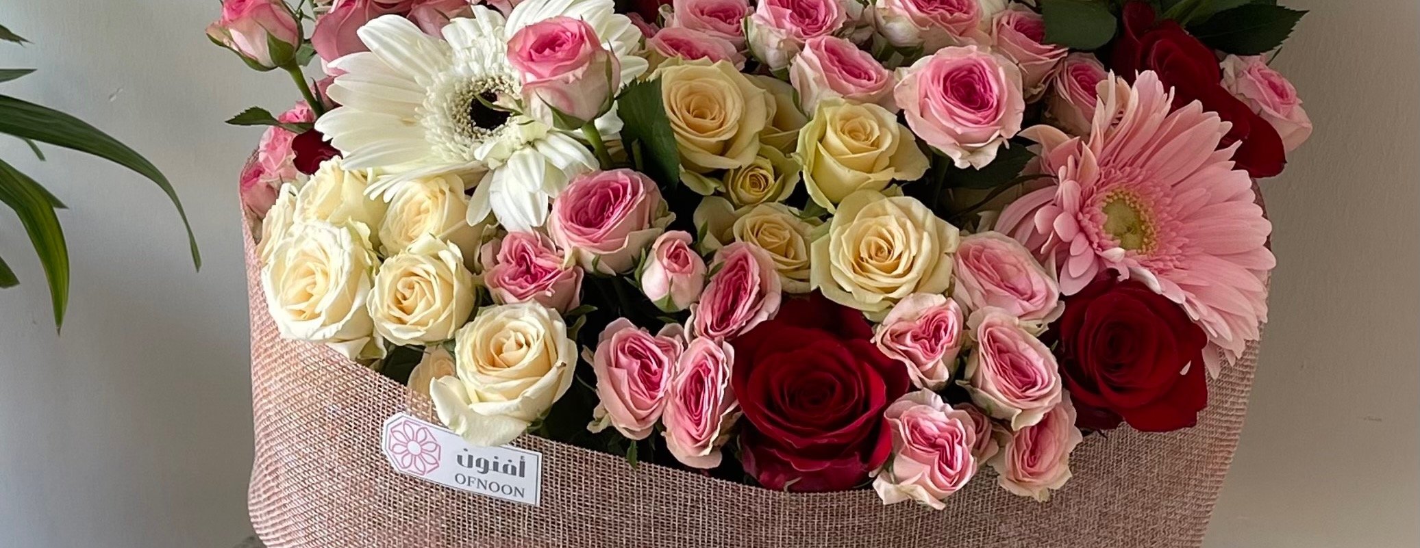 Ofnoon image-slider-1