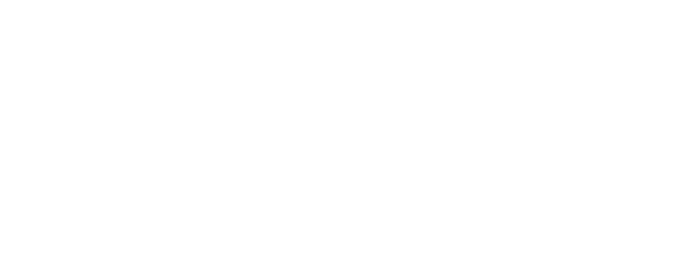 fnandigital
