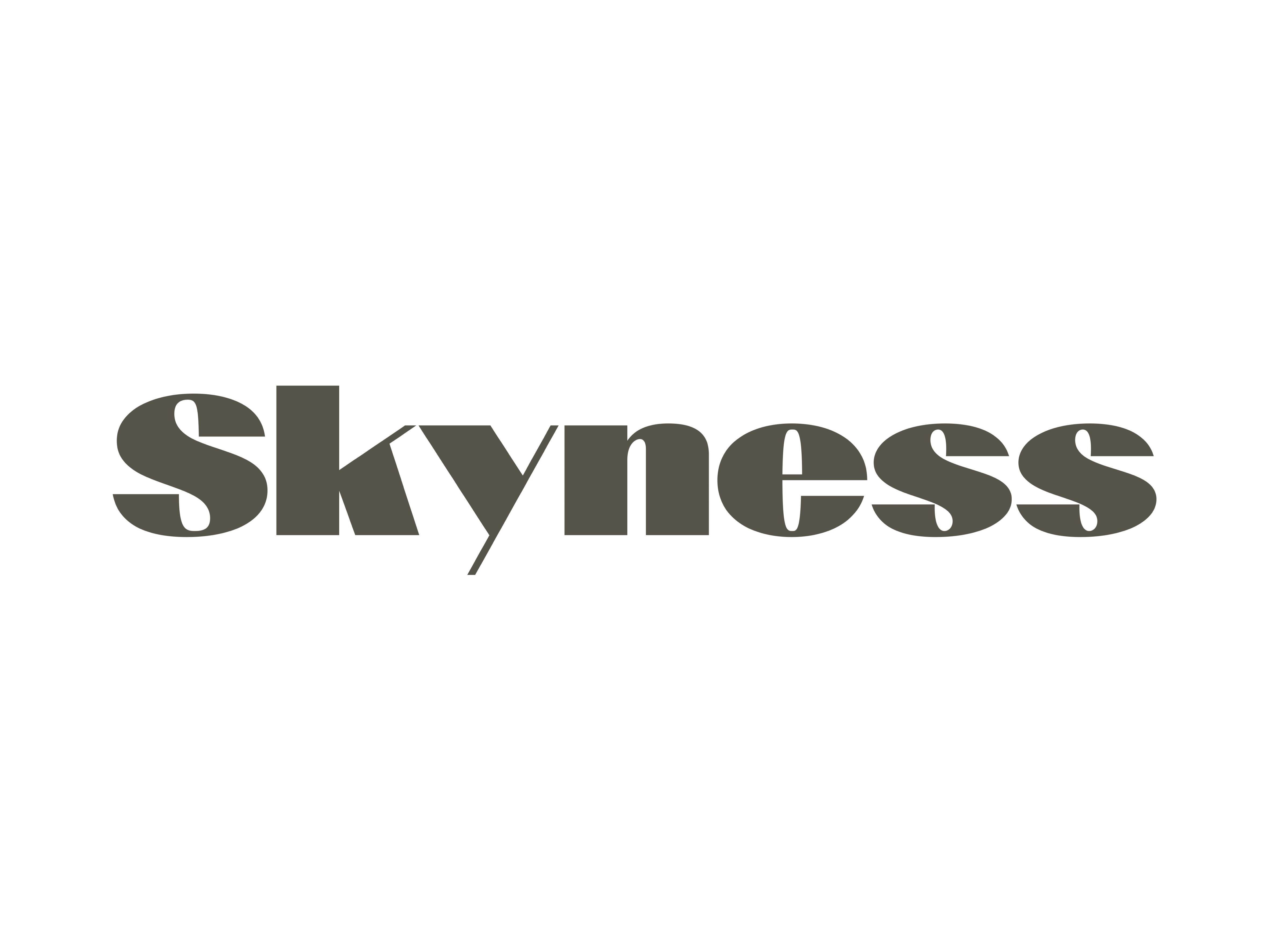 Skyness-alt-logo