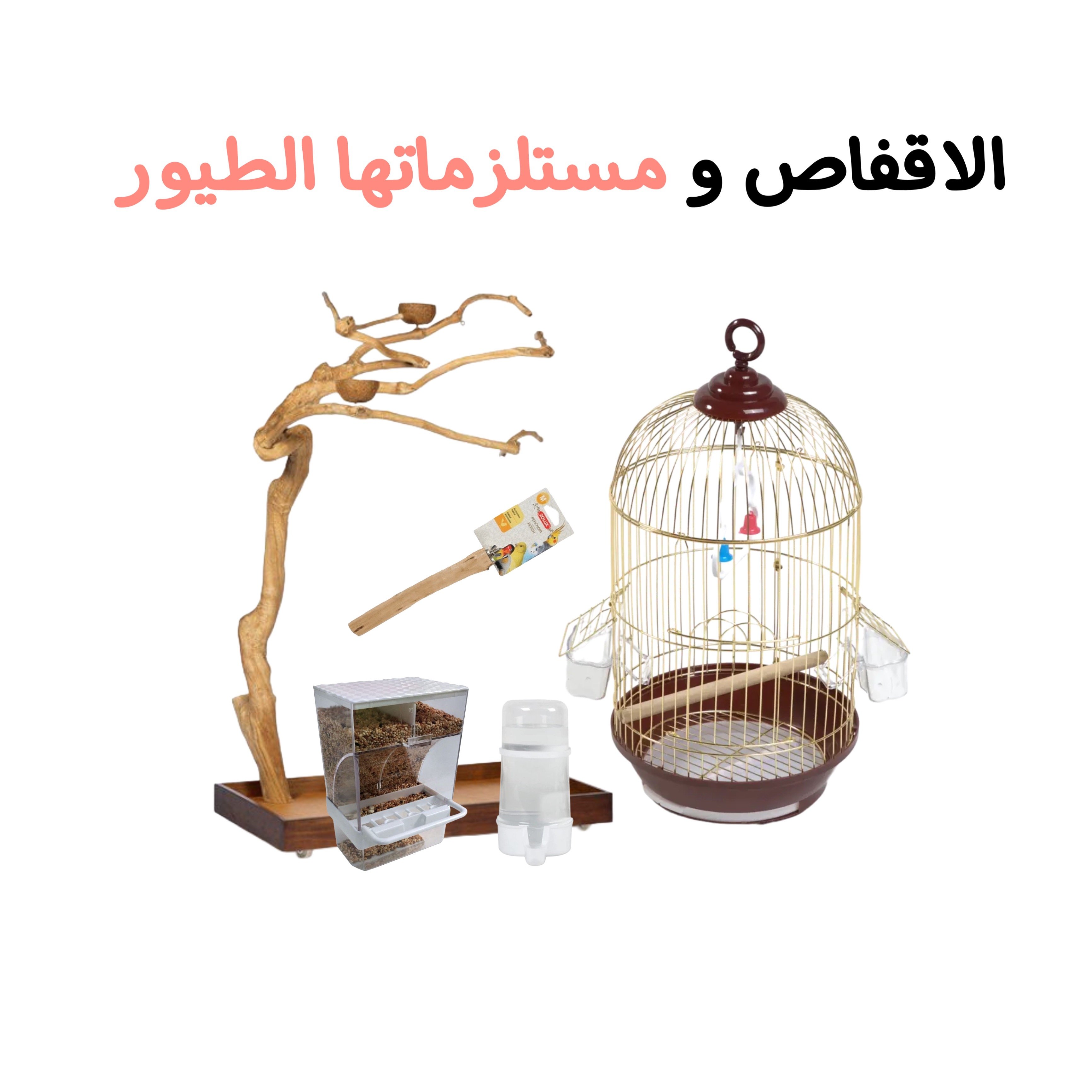 الأقفـاص و مستـلزماتها الطيور