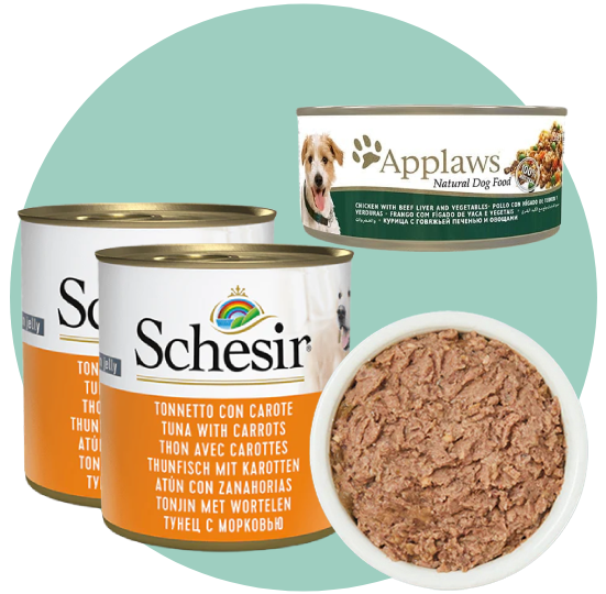 طعام رطب للكلاب