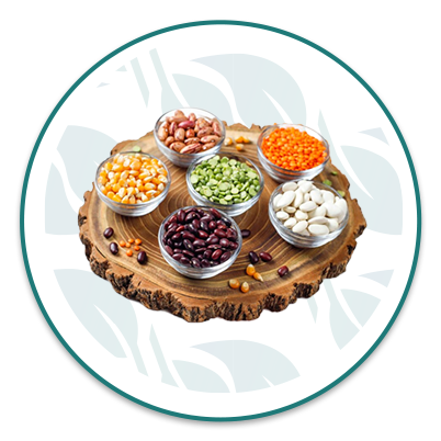 الحبوب والبقوليات