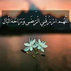 على الغامدي