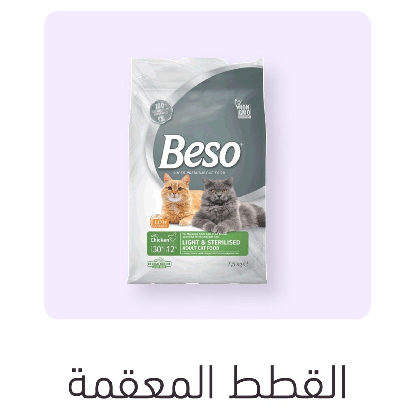 القطط المعقمة