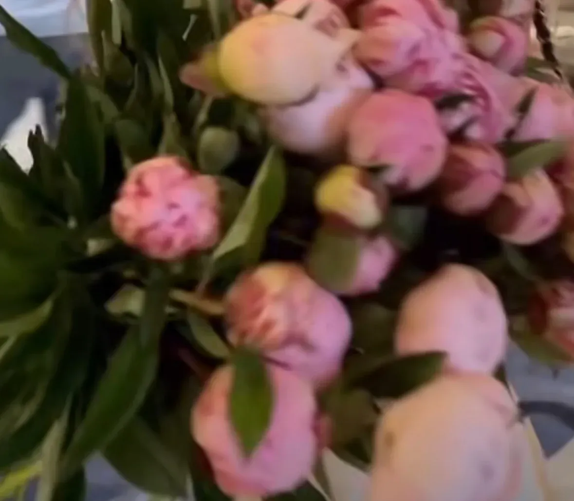 الاء الحنيفان