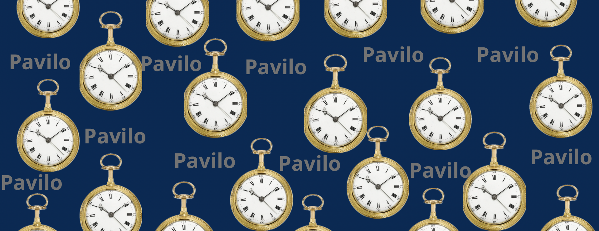 pavilo watch image-slider-0