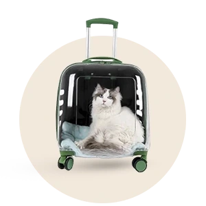 المنزل والحيوانات الأليفة